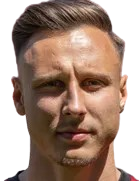 多米尼克·弗兰克头像