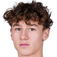 瑞安·范德帕弗特头像