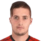 尼古拉斯-滕佩里尼头像