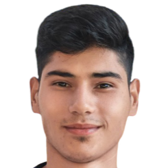 沙巴哈丁·德斯蒂奇头像