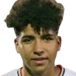 大卫·利纳雷斯头像