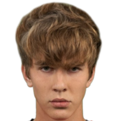 德米尔蒂·佩斯特里亚科夫头像