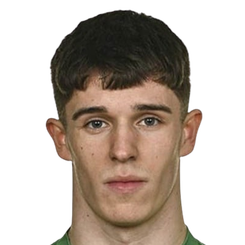 芬·巴雷特头像