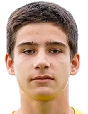 纳扎尔·马卡连科头像