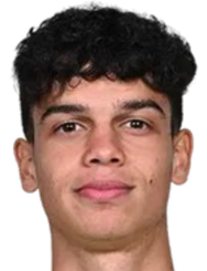 大卫·帕拉希夫头像