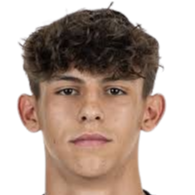 蒂诺·库萨诺维奇头像