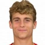 安德·维多雷塔头像