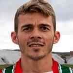 安德森·帕拉伊巴头像