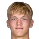 雅罗斯拉夫·卡尔皮津头像