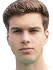 迪尼斯·罗德里格斯头像