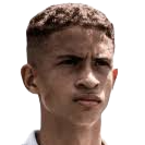 维尼修斯·罗德里格斯·里拉头像