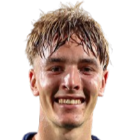 卢卡·维切利奇头像