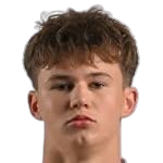 弗朗西斯泽克·莱万多夫斯基头像