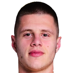 尼达尔·塞利克头像