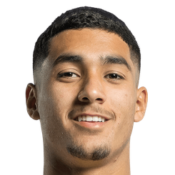 阿南·哈莱利头像