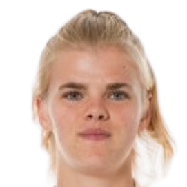 迪克·范斯特拉登头像