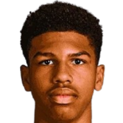 安德烈·哈里曼-安努斯头像