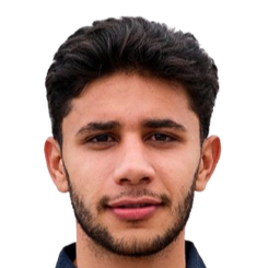 哈迪·梅萨头像