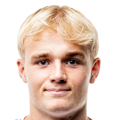 维克托·弗洛霍尔特头像