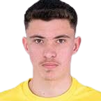 雷穆斯·古特亚头像