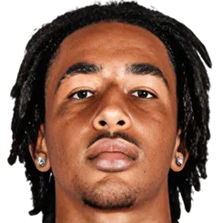 杰拉尼·特雷维桑头像