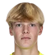 扬·沃莱克头像