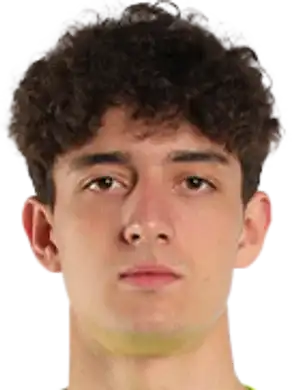 埃德姆·涅曼诺夫头像