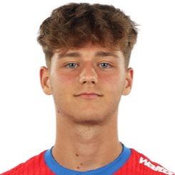 安德烈·丹库什头像