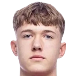 尼基塔·杰内拉诺夫头像