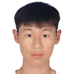 迟升头像
