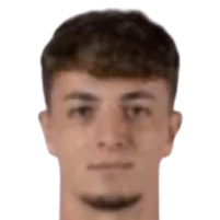 埃托雷·尼科洛西头像