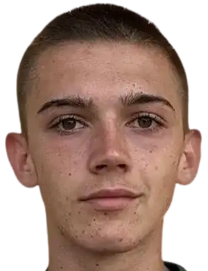 梅尔特·米尤斯卢姆·杜尔穆什头像