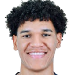 吉尔马里奥·维托尔·贝泽拉·梅内塞斯头像