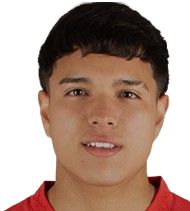 加斯顿·阿莱霍·布希尔头像