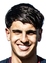 曼努埃尔·费尔南德斯头像