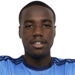 达雷·卡里姆头像