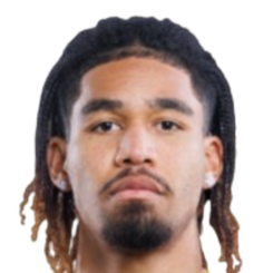 布莱安·阿迪纳尼头像