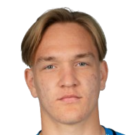 弗拉迪斯拉夫·科斯廷头像