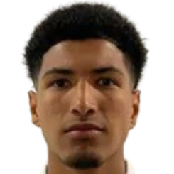 安德里·维拉头像