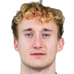 哈里·维克多头像