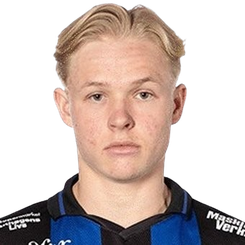 雨果·安德森·梅拉头像