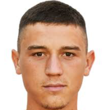 德拉甘·科卡诺维奇头像