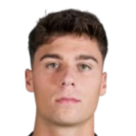 维森特·阿布里尔头像