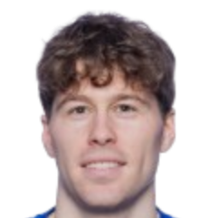 埃米尔·布雷维克头像