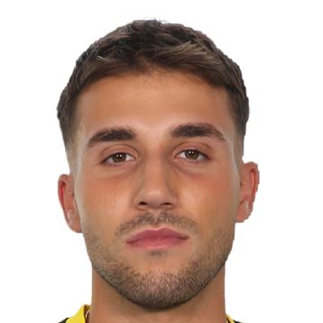 奥肯·埃尔多安头像