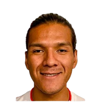 因提·加拉法头像