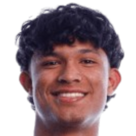 里卡多·林科内斯头像