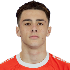 丹尼斯·阿尔贝托·塔罗伊头像