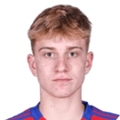 布尔凯维奇头像