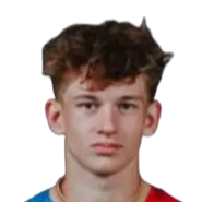 卡米尔·卢博维茨基头像